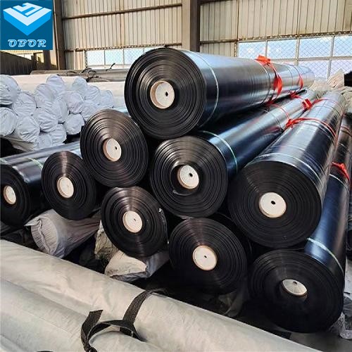 Good Quality HDPE Geomembrane Price